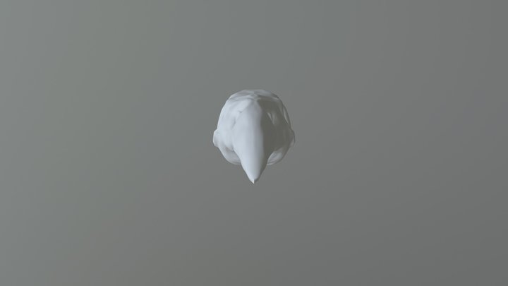 Crow Skull 3D Model