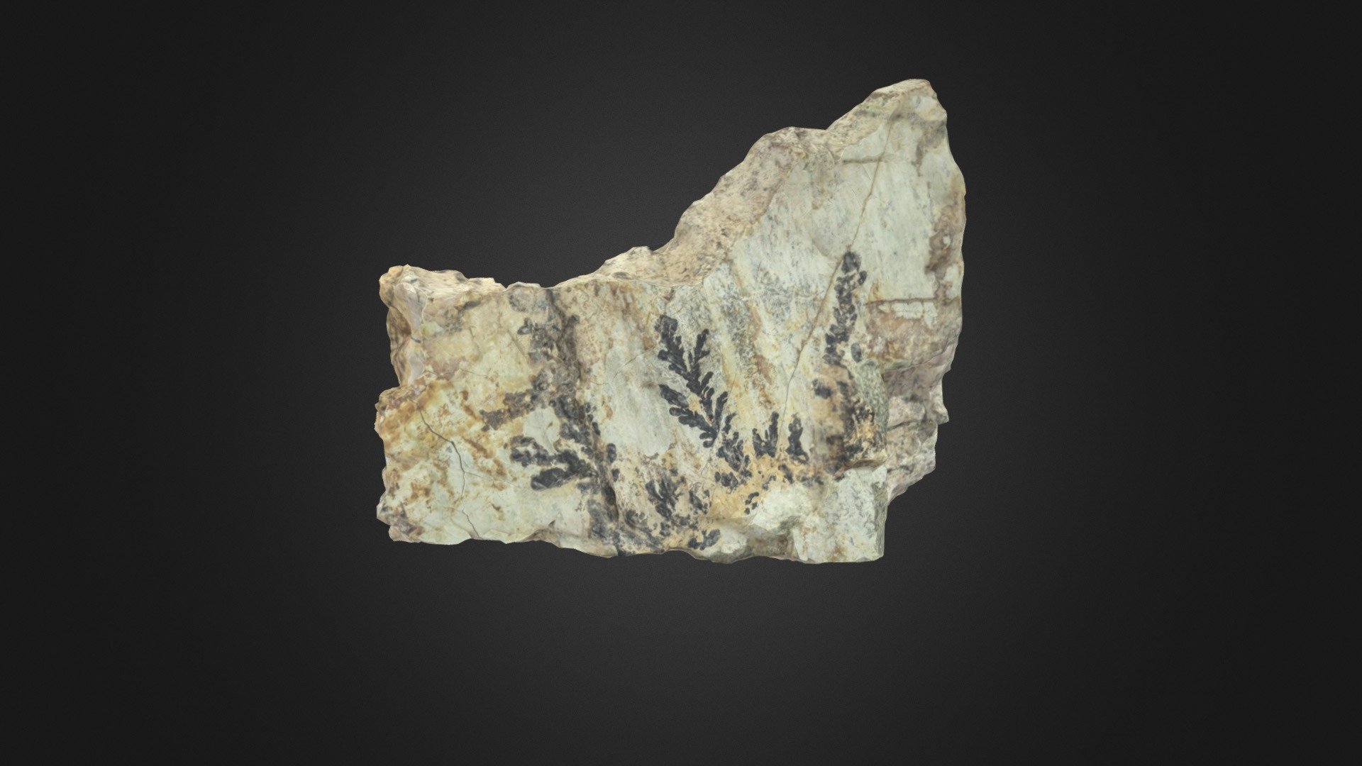 Manganese Dendrite on Serpentine rock