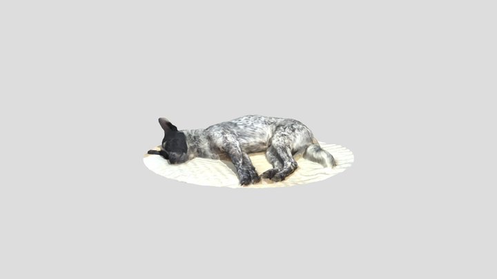 Sleeping Dog 2 - Japanese cute dog 3D Model