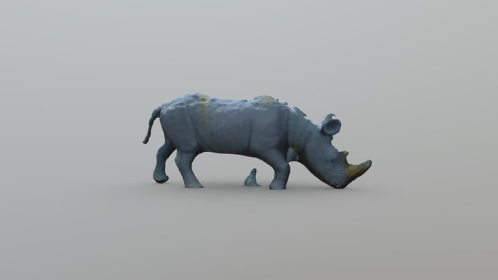 Rhino 3D Scan 3D Model
