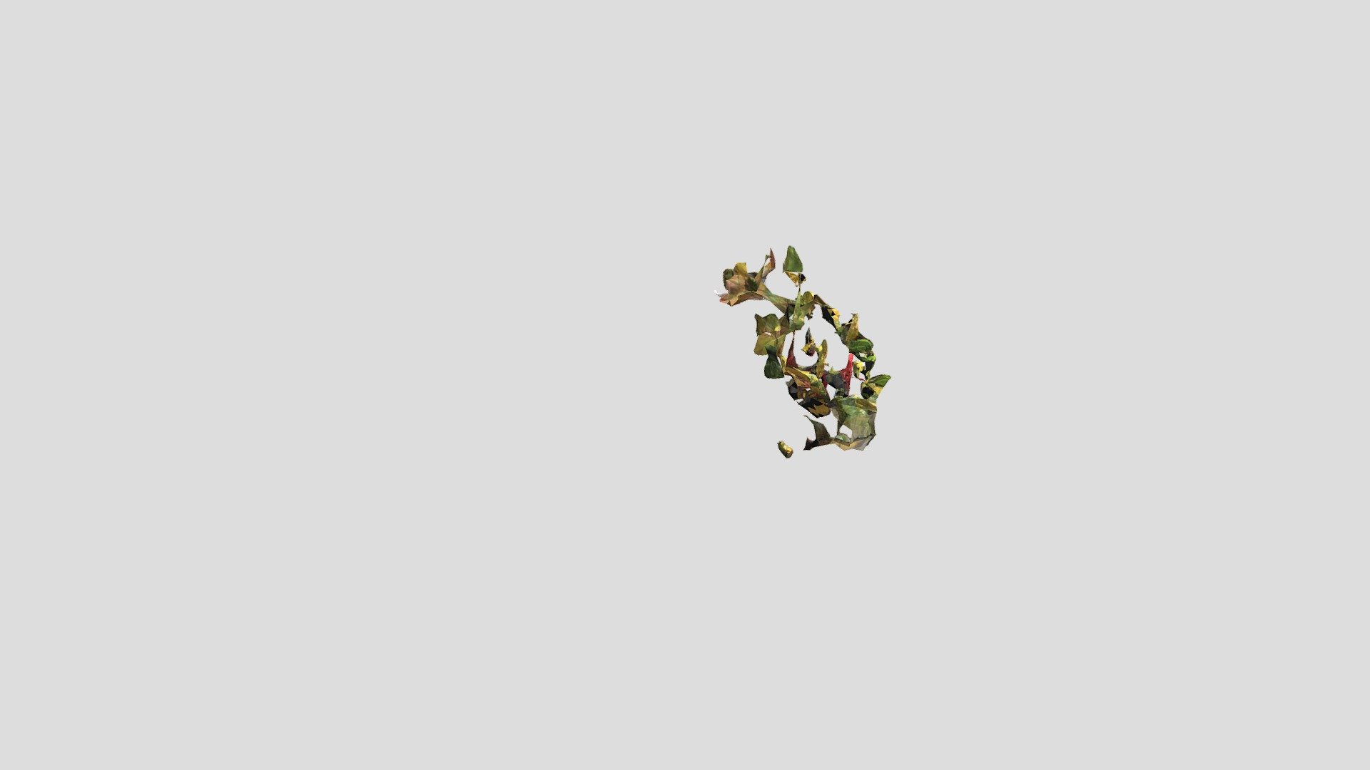 Hibiscus — Sketchfab embed 3D viewer