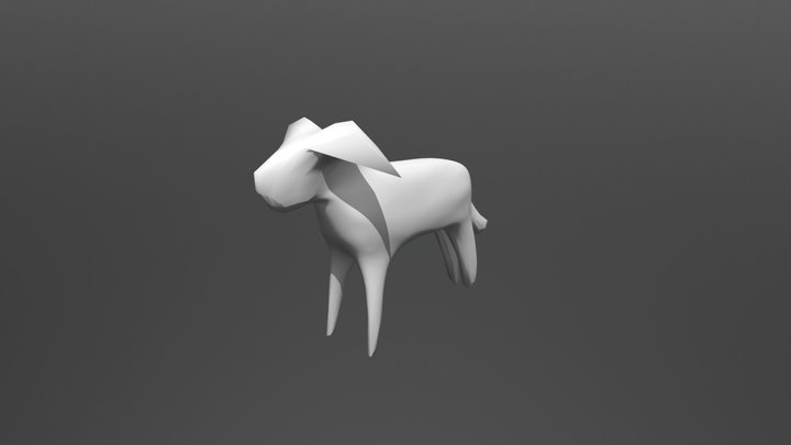 Activity 7: Animal Model 3D Model