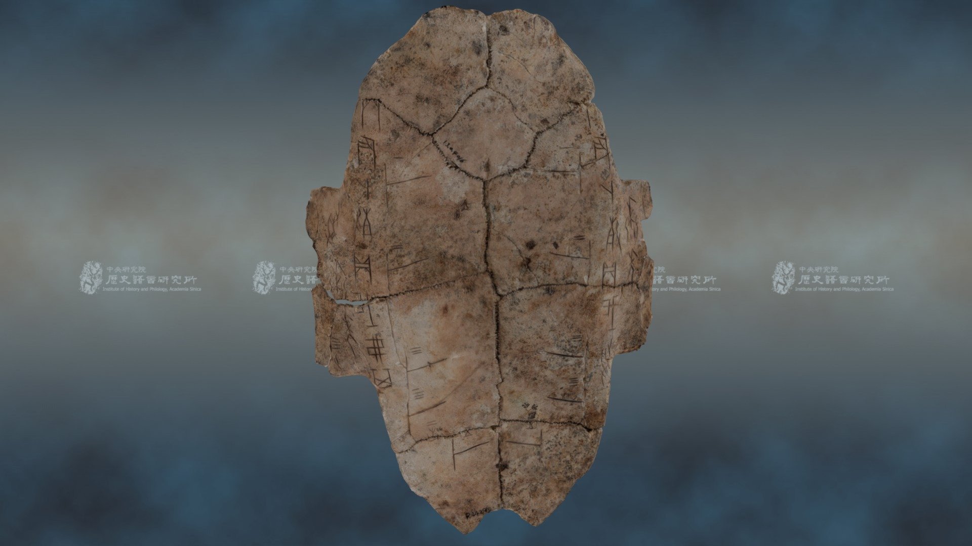 帶卜辭龜腹甲 Inscribed Tortoise Plastron — Sketchfab embed 3D viewer