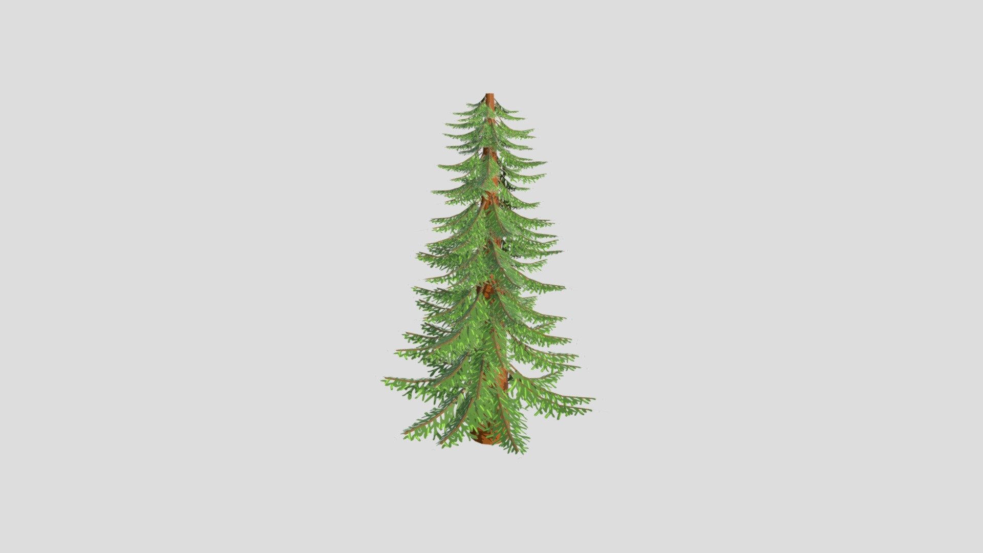 Tree Woche7