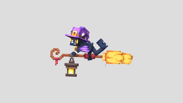 Cat and broomstick 3D Model