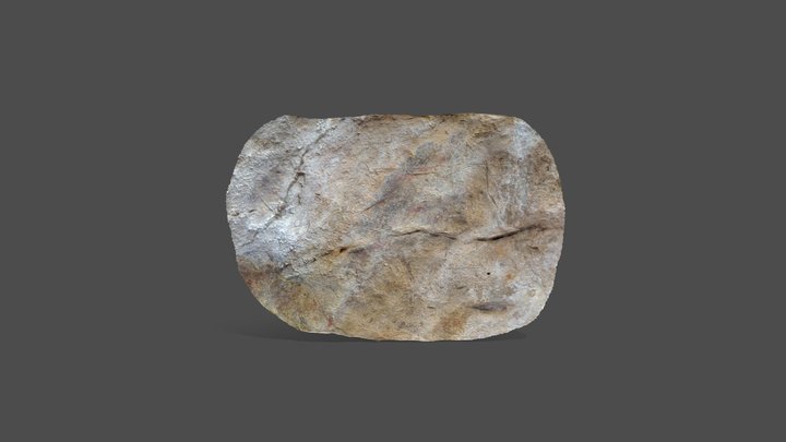 Panel central del Abric Lambert - C 3D Model