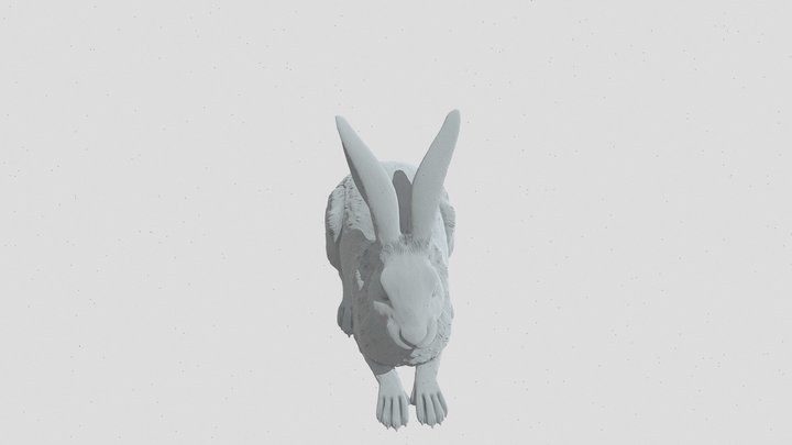 Resting Hare 3D Model