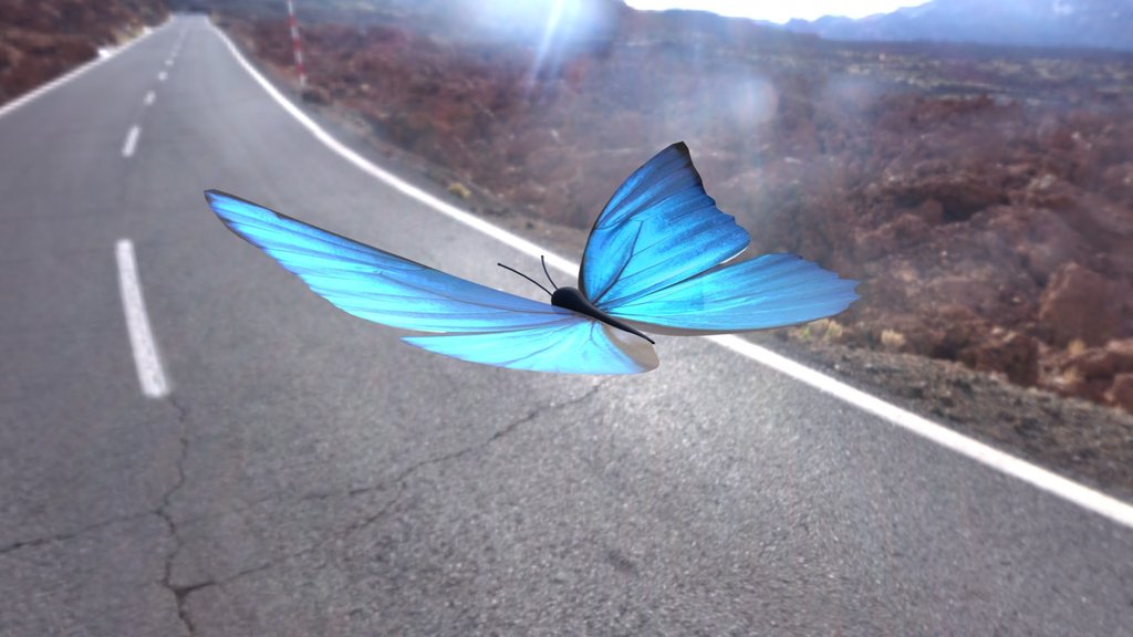 Butterfly
