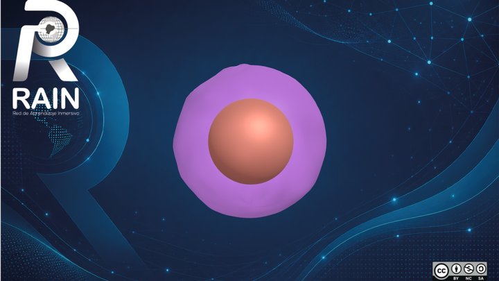 Ovulo – Free 3D Model STL