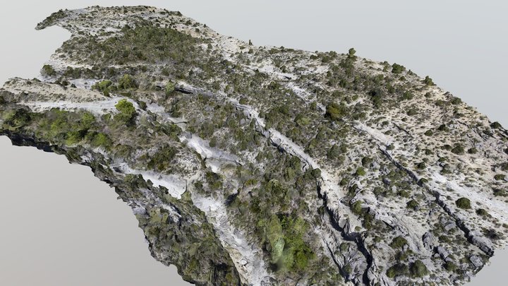 Sobrarbe Formation channels and mouthbars 3D Model