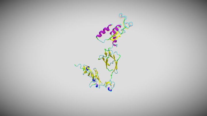 Integrin beta 3D Model