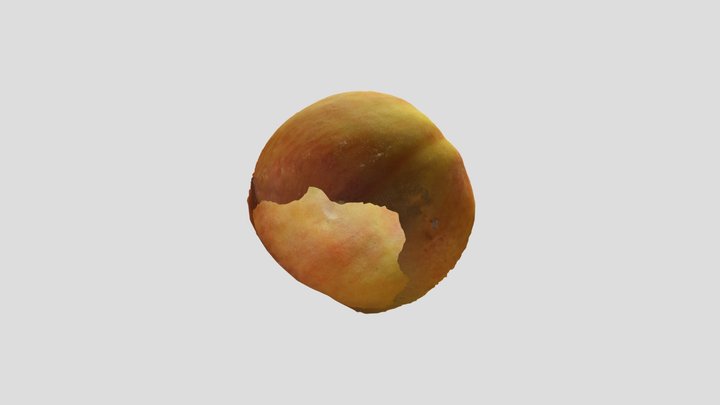 peach(fail) 3D Model