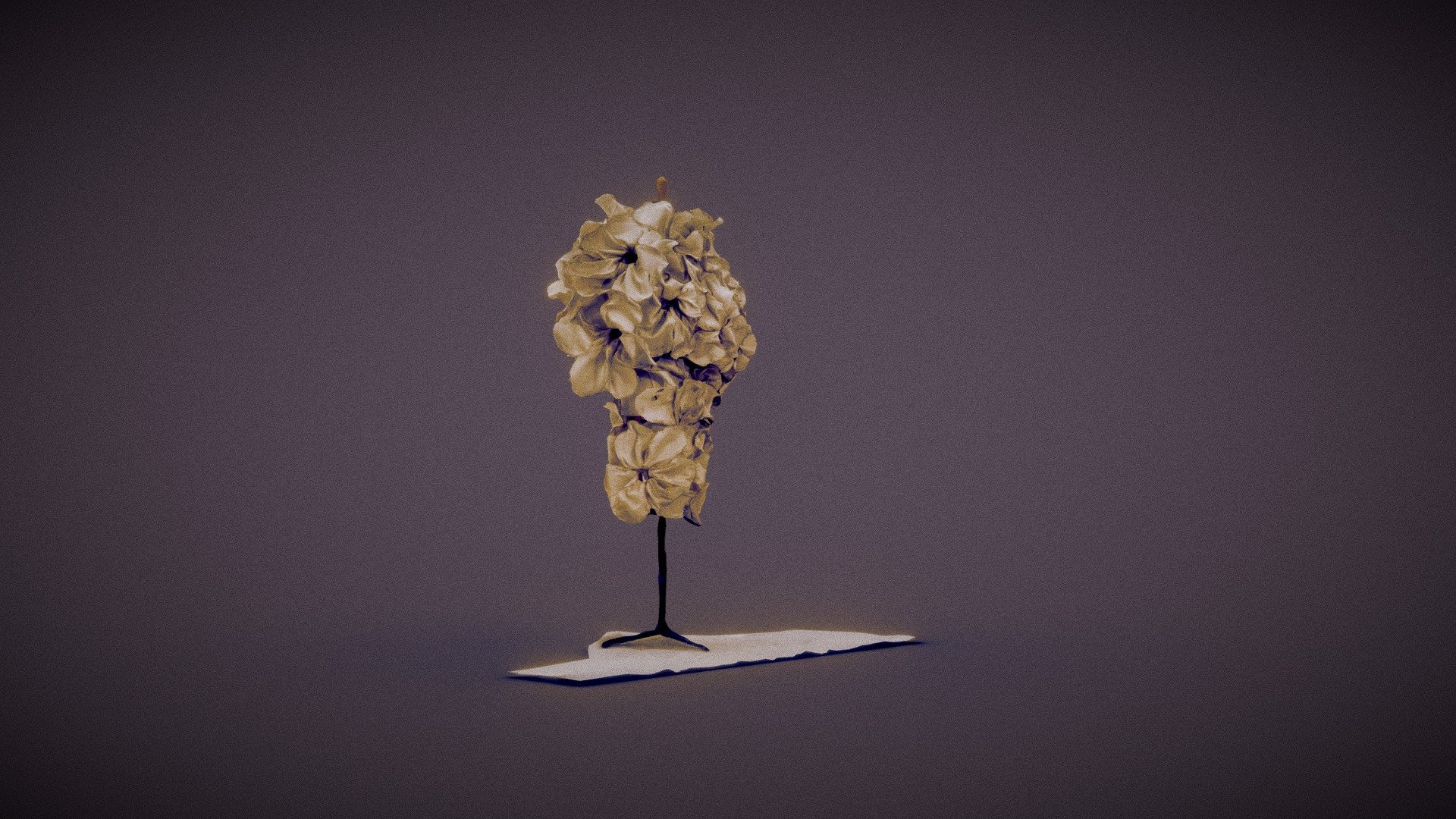 hlz_flowers