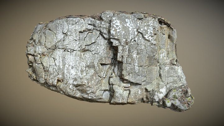 3d scanned cliff face J 3D Model