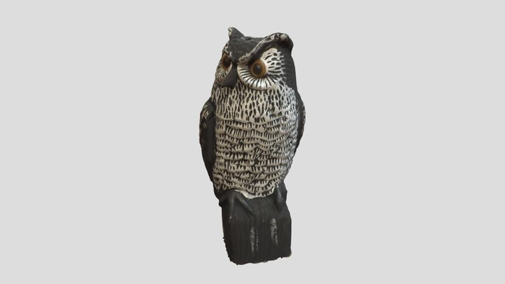 OwlVer2_AlexMayer 3D Model