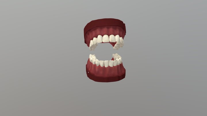 Dientes3 3D Model