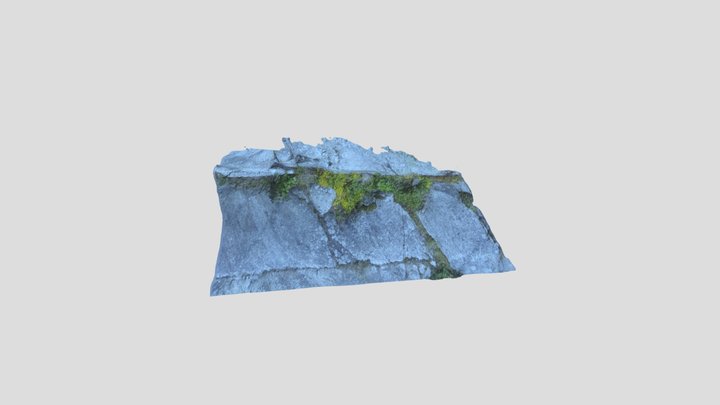 Sorby+Oslofjordflora_sammensatt 3D Model