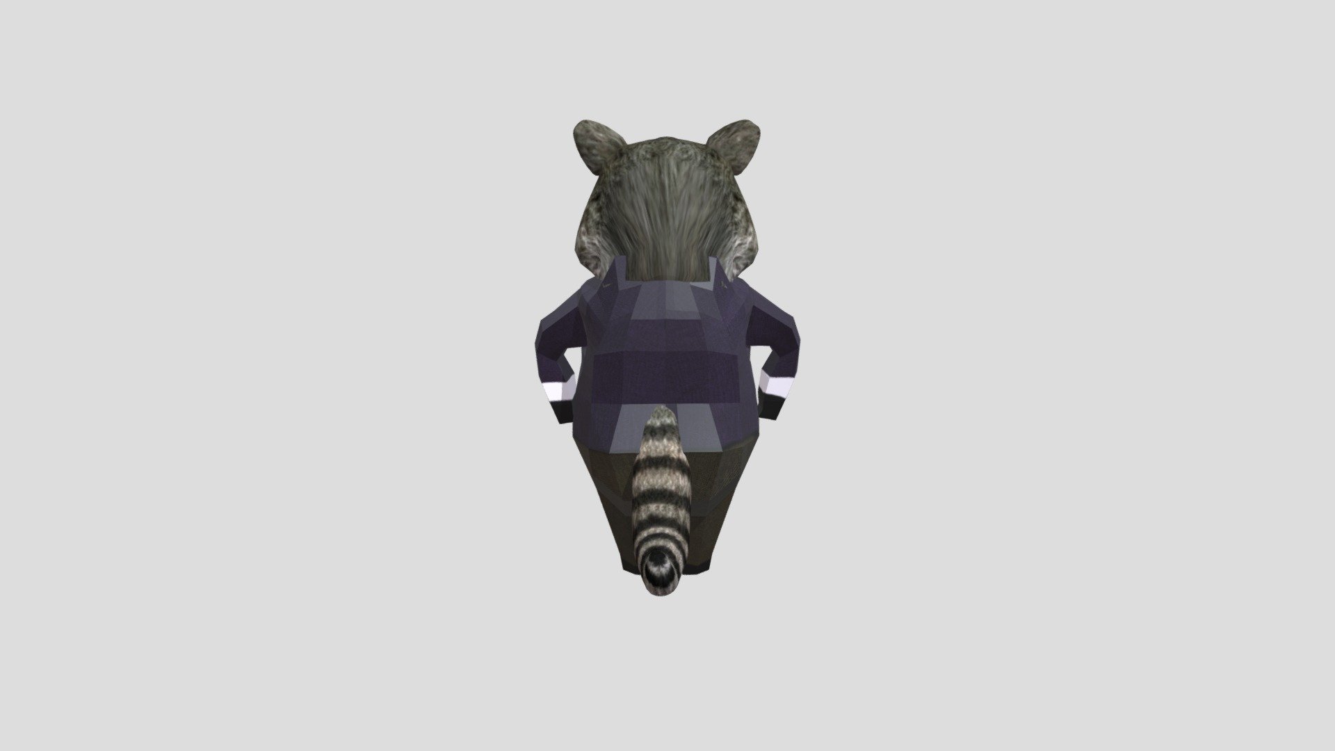 raccoon - Download Free 3D model by EstebanKaio [bb9324f] - Sketchfab