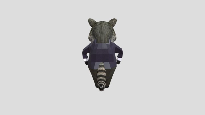 raccoon 3D Model