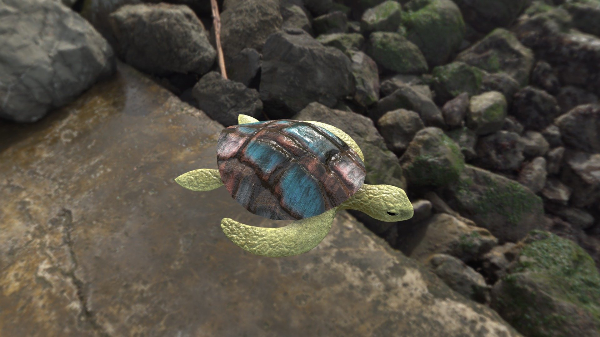 Turtle - 3D model by amberleycwallace [bb933c7] - Sketchfab