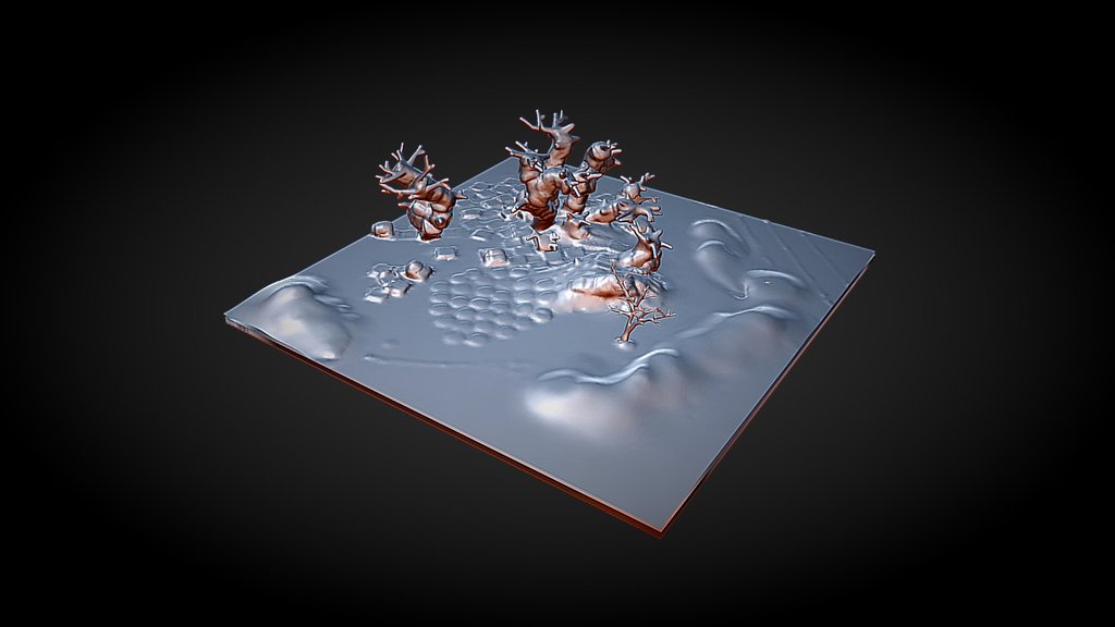 Terrain