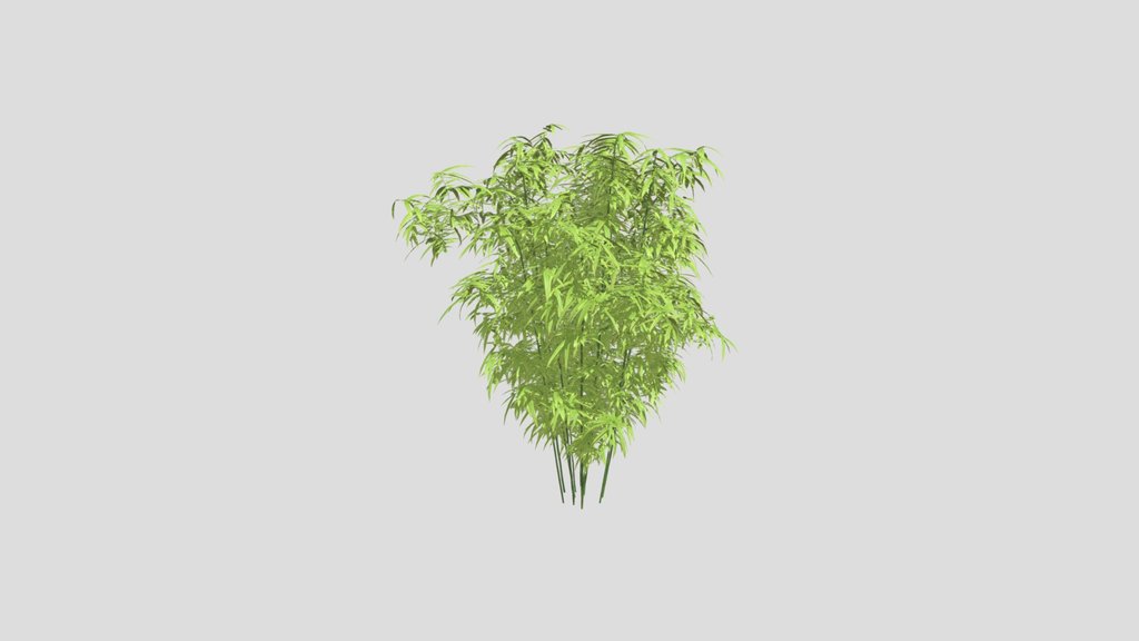 Bamboo Bush