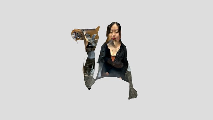 MH_Pug_Capture 3D Model