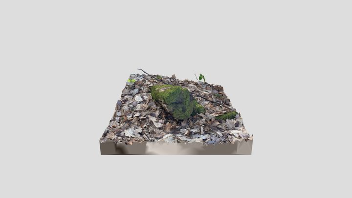 Mossy Tree Stump Scan 3D Model