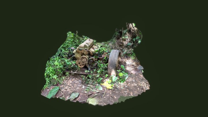 Abandoned engine block near Ho'opi'i Falls 3D Model