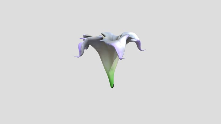 Flower Test 3D Model