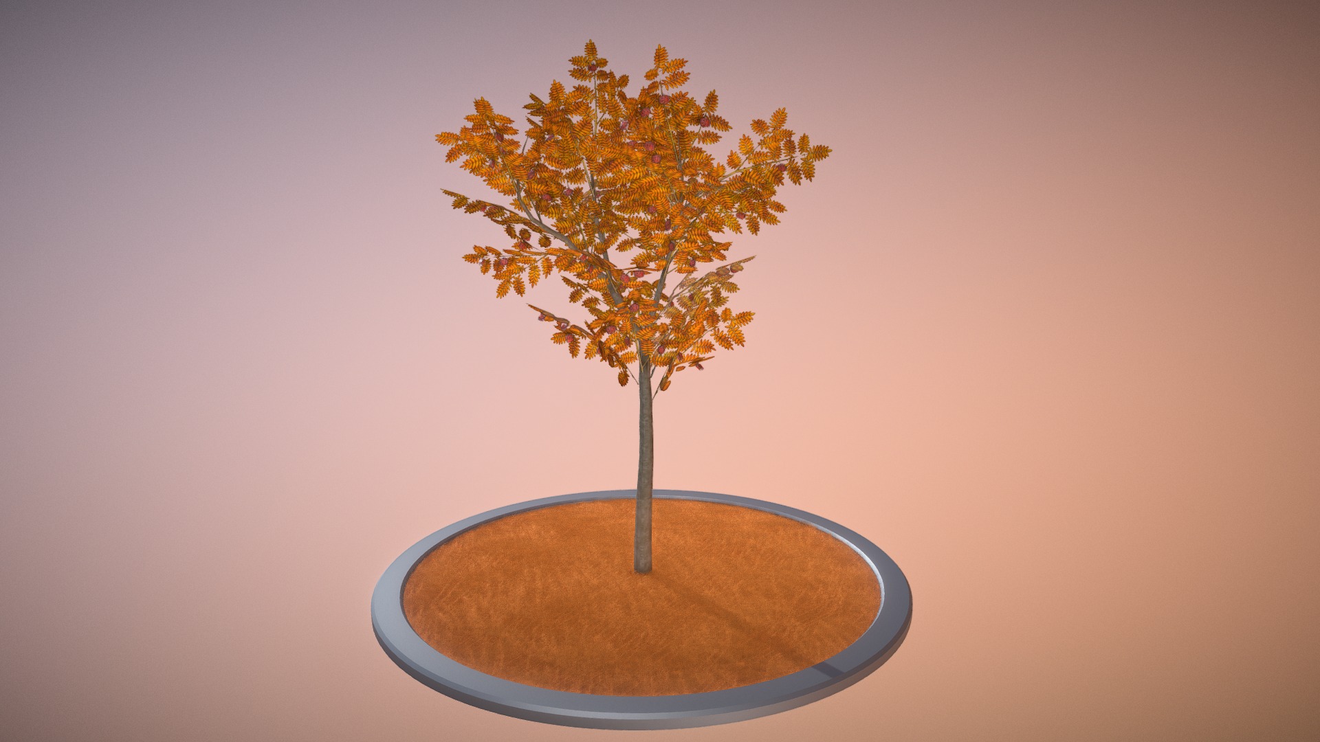 3D model Rowan Tree – Sorbus-Aucuparia – 4m – Autumn - This is a 3D model of the Rowan Tree - Sorbus-Aucuparia - 4m - Autumn. The 3D model is about a tree with a blue circle around it.
