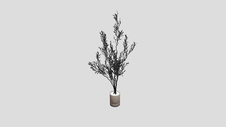 Indoor Plant Olive – Modello 3D gratuito STL