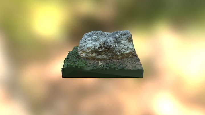 Stone 3Dscan 3D Model