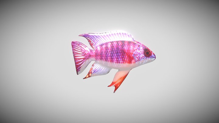 fisk_demo 3D Model