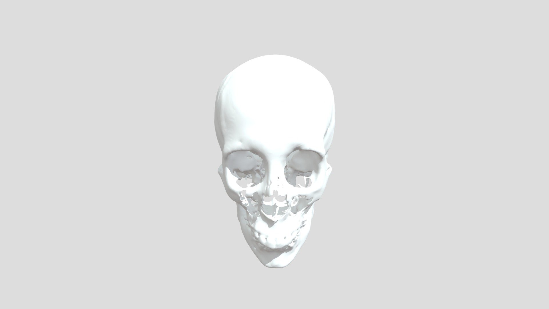 Skull