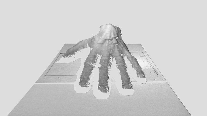 3D Scan of Hand with NIR DepthScan at 37 cm 3D Model