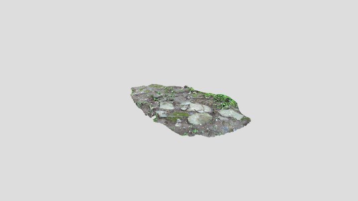 Stone Pathway 3D Model