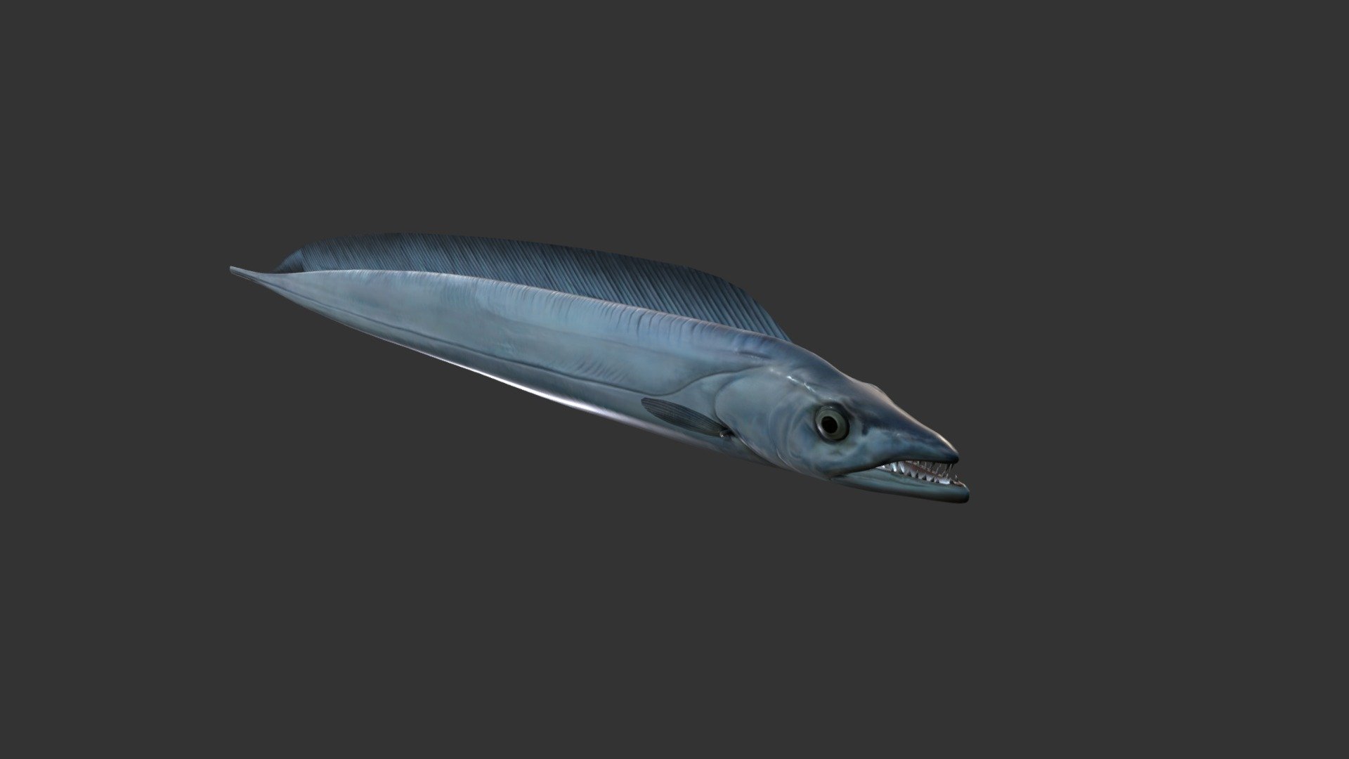 Sea Eel