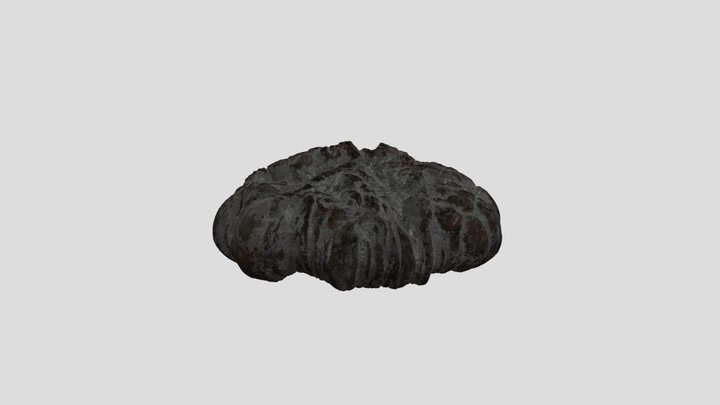 Division369 Studio Rock Pack 3D Model