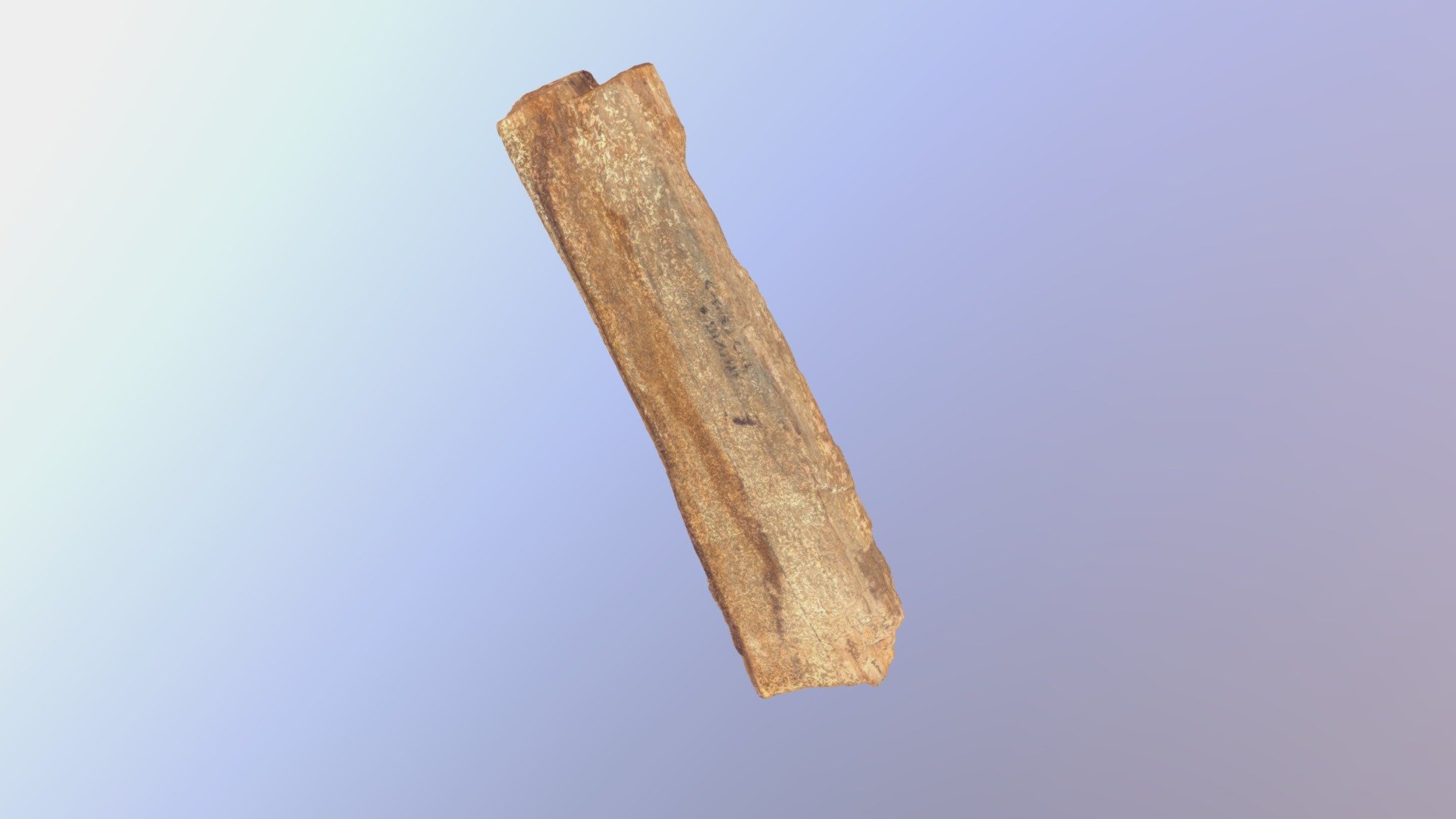Petrified Wood (VCU_3D_2506)