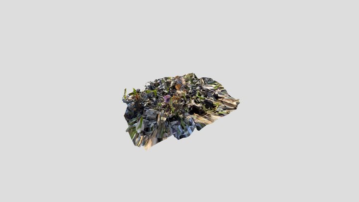 Flower in grass 3D Model
