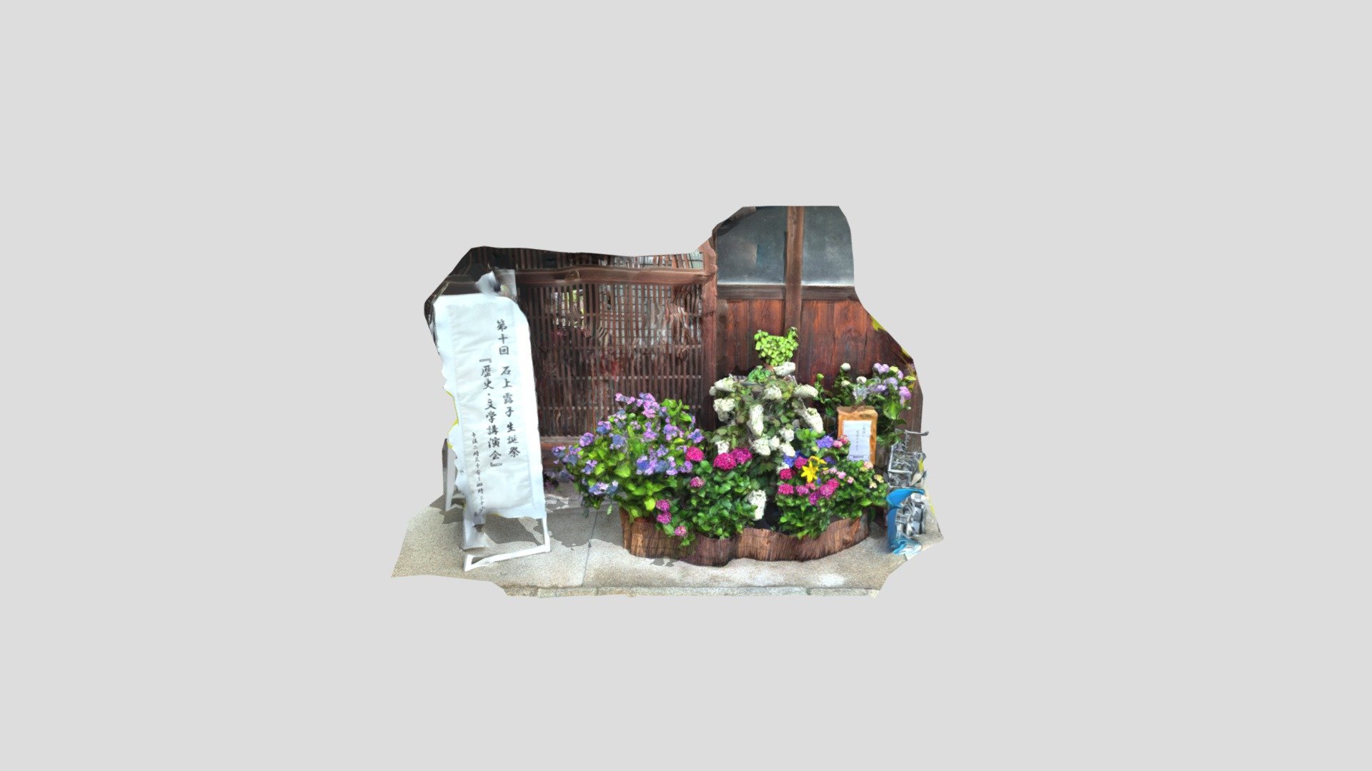 旧田中家住宅　あじさい