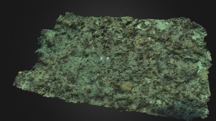 Rainbow Reef_NFL_Restored 3D Model