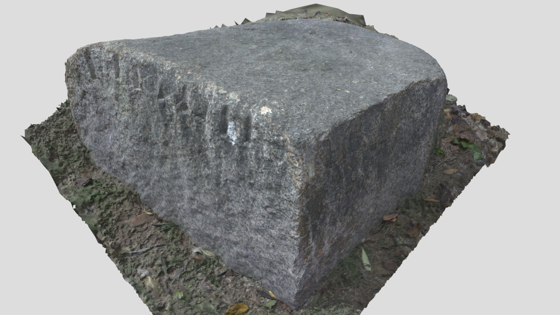 Huge Stone
