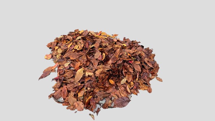 piles of leaves 3D Model