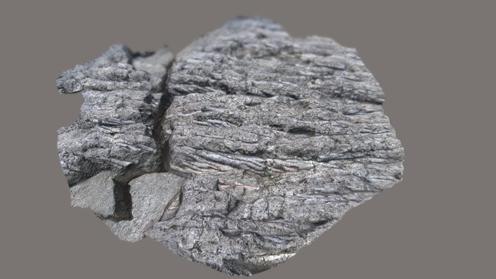 Photogrammetry of a old lava flow (raw scan) 3D Model