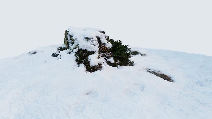 Miniature winter wilderness