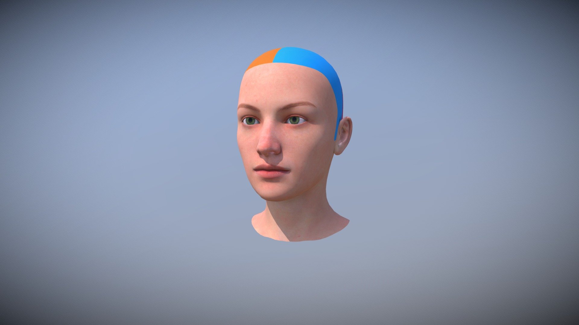 Scheda Testa Divisioni — Sketchfab embed 3D viewer