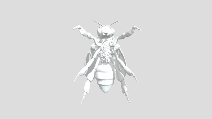 Ape Intera Rimpicciolita 3D Model