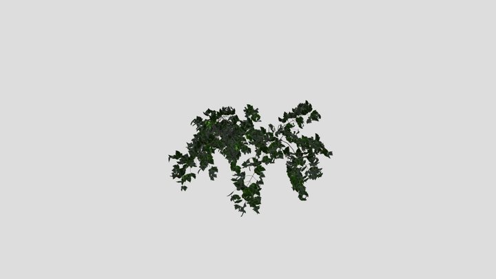 Simple Hanging Wall Plant – Free 3D Model STL